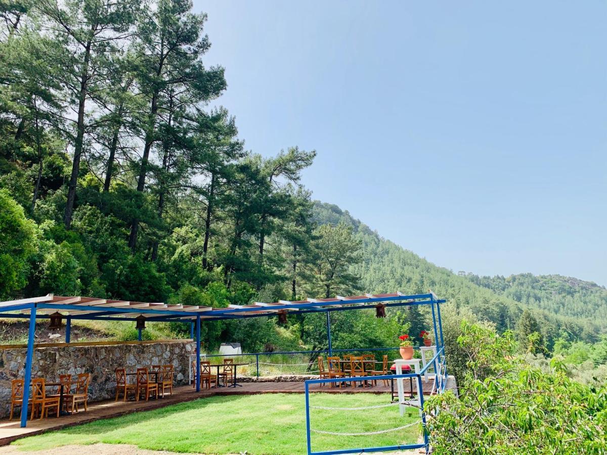 Alp Inn Villas Турунч Экстерьер фото