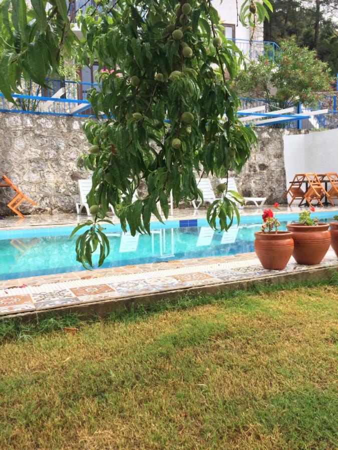 Alp Inn Villas Турунч Экстерьер фото